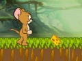 Juego Tom and Jerry : Cheese Land