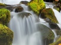 Juego Forest Waterfalls
