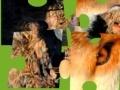 Juego Jigsaws:Wild Animals 2