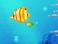 Juego Big Fish eat small