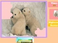 Juego Twin Polar Bear