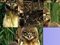 Juego Owls slide puzzle