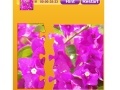 Juego Bougainvillea Jigsaw