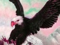Juego Wild acrobat eagle puzzle