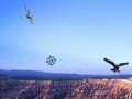 Juego Bird Kill