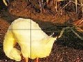 Juego Funny ducks slide puzzle
