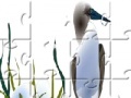 Juego Sea Bird Jigsaw
