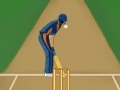 Juego Super Cricket