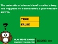 Juego Useless Animal Facts