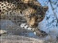 Juego Leopard Jigsaw Puzzle