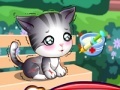 Juego Doc Mcstuffins: stray kitten caring