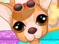 Juego Chihuahua Caring