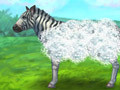 Juego Feed Zebra