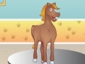 Juego Doctor Cem Animal Hospital