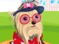 Juego Pet Dressup 5