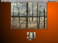 Juego Burned Trees Moving Jigsaw