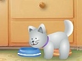 Juego Net Pet