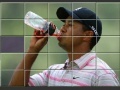 Juego Tiger Woods