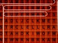 Juego Word Search Challenge - 114