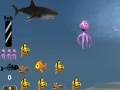 Juego Octopus Life