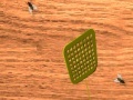 Juego Fly Swatter