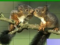 Juego Lovely squirrels slide puzzle