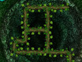 Juego Root Your Way