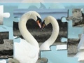 Juego Valentine Swans