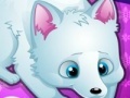 Juego Arctic foxes