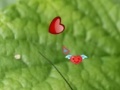 Juego Hidden Nature Hearts