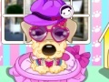 Juego Pampered Dog Salon