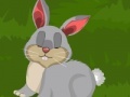 Juego Dora Rabbit Care