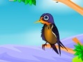 Juego Feed the Bjrds
