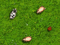 Juego Eggsplosive