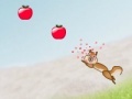 Juego Squirrel shooting