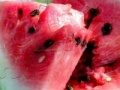Juego Watermelon