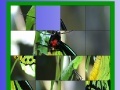 Juego Green butterfly slide puzzle