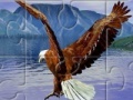 Juego Eagle