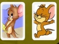 Juego Tom and Jerry Cards Match