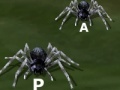 Juego Tarantuloid Typing Terror