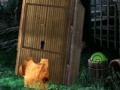 Juego Forest escape