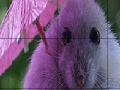 Juego Umbrella and mouse slide puzzle
