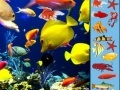 Juego Underwater Hidden Objects