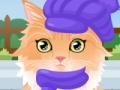 Juego Kitty Groomer