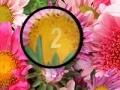 Juego Flowers 3 Hidden Numbers