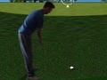 Juego Flash Golf 3D