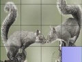 Juego Squirrels in love