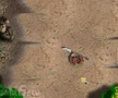 Juego Battle for Alandria
