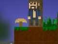 Juego Minecraft - funny adventures