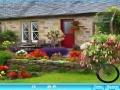 Juego Cottage garden hidden alphabet